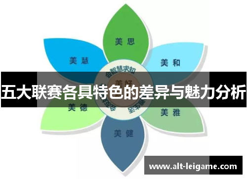 五大联赛各具特色的差异与魅力分析